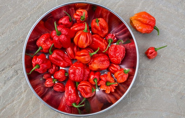 Rất nhiều tín đồ ăn cay đã bị sốc khi nếm thử 10 loại ớt này, bạn thì sao? 3