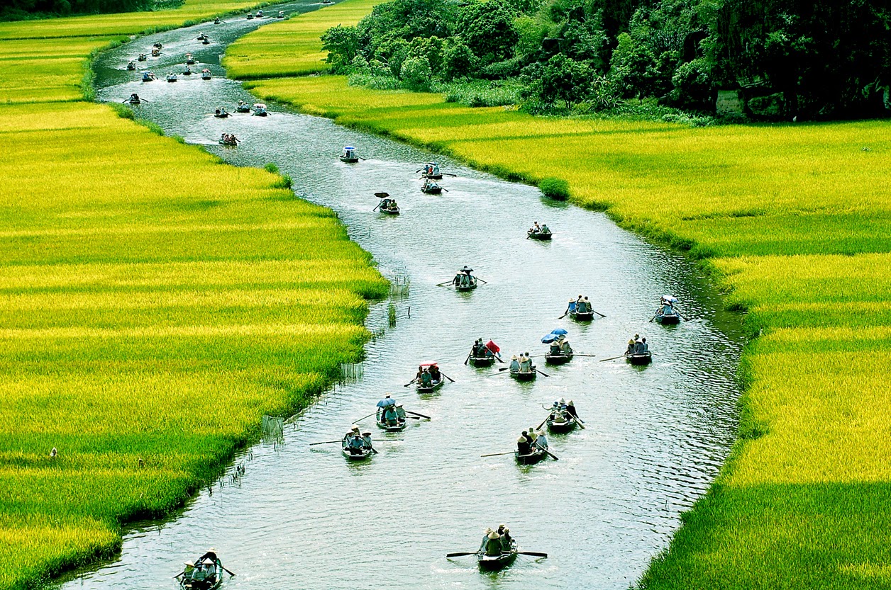 Thiên nhiên Việt Nam là vẻ đẹp tuyệt vời và khó ai sánh bằng. Những bức ảnh về thiên nhiên Việt Nam sẽ đưa bạn đến với những vùng đất hoang sơ và đầy màu sắc, cùng với những hình ảnh rực rỡ của rừng ngập mặn, suối nước trong xanh, và những bãi biển đẹp nhất Việt Nam.